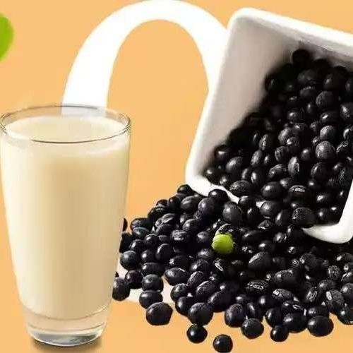 Black bean powder soaked in soy milk