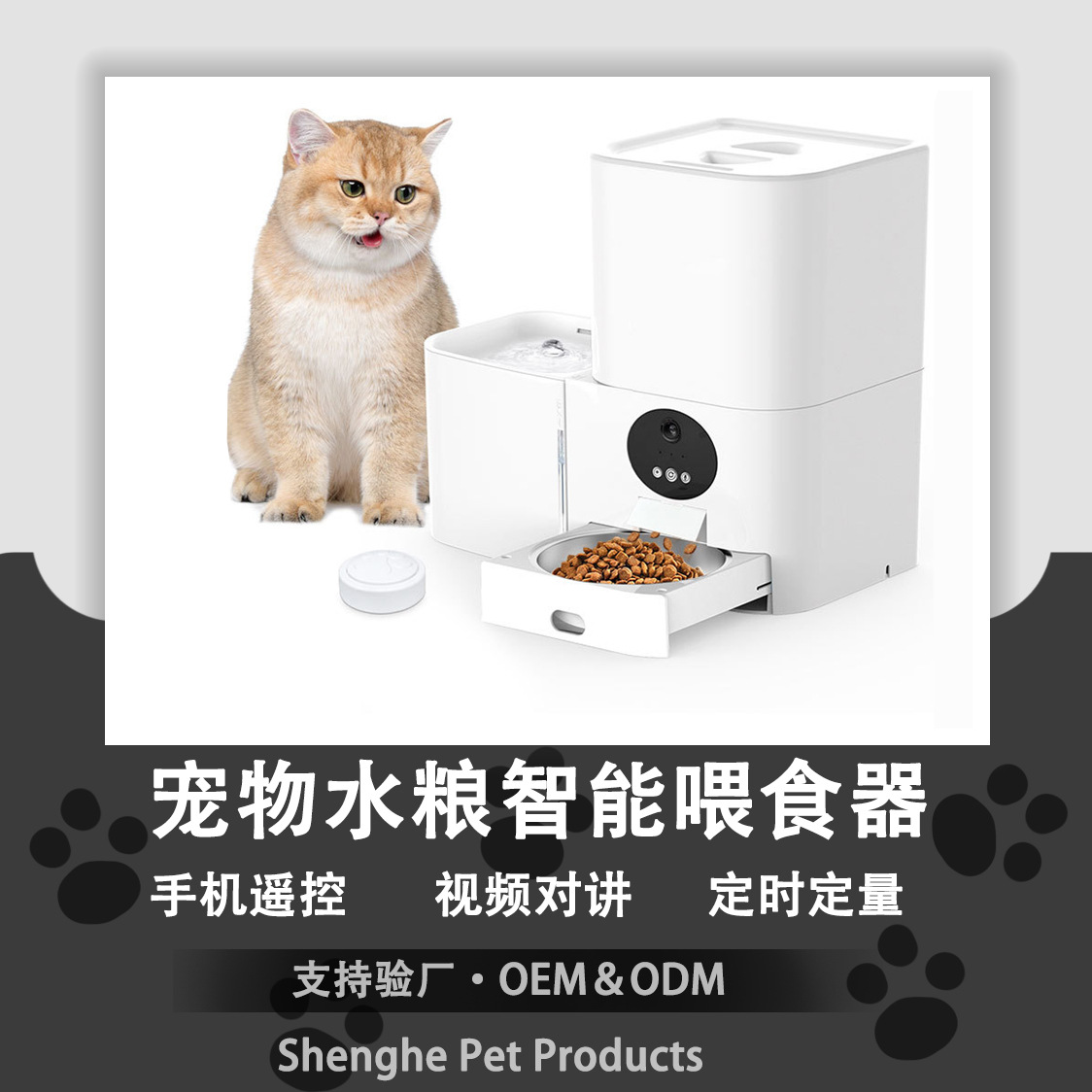 Caring for Your Pet: Automatic Feeders and Smart Pet Gadgets