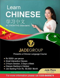 Chinese Online Course 1 Year