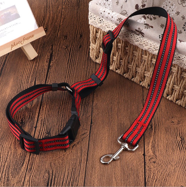 Pet Care Buying Guide